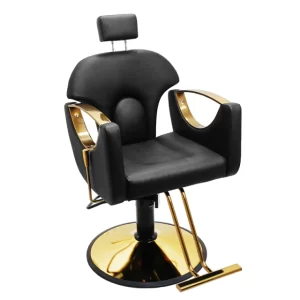 Cadeira de Cabeleireiro Belarus Reclinável Base Redonda - Preto